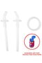 Zoo Stainless Steel Water Bottle with Straw Spare Straw