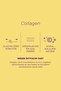 Collagen Infusion Face Mask - 6