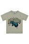 Dinosaur Printed T-Shirt for Ages 2-5 - Gray 2-3 Years