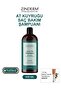Horse Tail Shampoo - Salt-Free Shampoo 500 ml