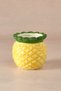 Pineapple Ananaslı Mini Saksı 295 ml
