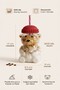 Teddy Bear Design Glass Flask with Straw and Protective Cap 600 ml (Green, Yellow, Blue, Black, Red Color Options) - 2