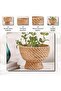 Floresta Rattan Decor Bowl Dia25x17cm- Natural - 5