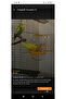 Yellow-White-Blue-Red Smart Bird Feeder for Lovebirds, Canaries, Finches, Etc. - 3