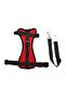 Dog Car Seat Belt and Leash Arnav Red - 2