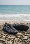 Black Silver Line Non-Slip Sole Pack Sea Shoes - Stretchy Beach and Pool Shoes - Sea Shoes - 5