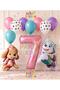 7 Years Old Paw Patrol Skye and Everst Birthday Balloon Set - Police Dog Pattern