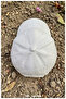 100% Cotton, Hat with Stone Accessories for Young Girls (Ages 9-15) (Size 53-56 cm) - 5