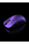 IPI Qi Pro mouse - 6