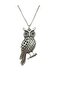 Unisex Necklace with Long Owl Figure – Wisdom, Elegance and Mystical Energy Design