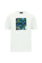 Crew Neck Regular Fit Printed Cotton T-Shirt