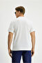 Slim Fit Slim Fit Cotton Non-Curling Polo Neck T-Shirt - 6