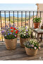 3 Pieces of Organizer Basket Flower Pot - 3