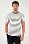 Striped men's t-shirt 4039 ecru-indigo striped