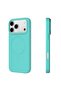 iPhone 17 Pro MORANDI Series MLDcx Magnetic Silicone Back Case - 2