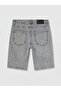 Lcw Jeans Gray Regular Fit Men's Jean Shorts - 6