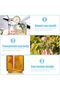 Silk Route - Eco-Friendly Glass Cans with Bamboo Lids, 500ml Drinking Cups for Water, Juice & Mixed Drinks, 6 Pack with Straws - for Any Occasion - 4