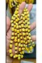 An Ad Has Been Opened for 1 Piece of the Original Stone-Turned-Rus-Drip Amber Necklace. - 3