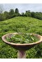 Handmade Green Tea 50 Gr |   Additive-Free Natural May Harvest Top Leaf - 3