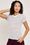 Striped T-Shirt with Crew Neck and Short Sleeves