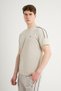Stripe Agp 4 Men's T-Shirt with Short Sleeves and Stripe Detail Stone