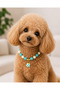 köpek kolyesi