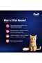 Salmon Mousse Kitten (80gm x 6)| Rich in Protein, Promotes Hydration & Easy to Digest | Packed with Essential Vitamins & Antioxidants - 2