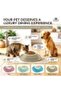 Soft Touch Plastic Single Bowl Large 600ml Grey Pet Feeding Dish with Soft-Touch Holder - 6