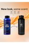 Diffuser Aroma Primum Oil | Dubai Scent - With Gentle and Natural Hints of Blueberry, Safron, White Musk, Rosemary and Amber 500ML - 2