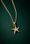 Women's Gold Color Starfish Figured Stone Necklace