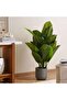 Artificial Diffenbachia Tree H110cm- Green