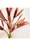 Aloe Artificial Stem Flower H80cm - Brown - 2