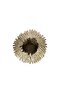 Champagne Gold Decorative Plate 15X43X44Cm - 2