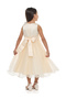 Girls Flower Applique Mesh Insert Festive Dress - 4