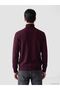 Lcwaikiki Classic Plum Turtleneck Men's Knitwear Sweater - 3