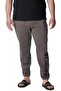 Trek Jogger