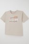 Boy's Shorts Set with Colorful Text Printed Shorts and Pockets, Ages 6-12, Beige - 6