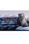 KingKong Star 2 5G Rugged Smartphone Slim and Strong ,6.72 Inch and 1.85 inch back Screen , 2.4K FHD+ Screen, Android14, Dual SIM, 12GB+12GB Extended RAM+256GB ROM, 5100mAh Battery 100MP Rear+32 - 4