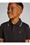 Boys Black Short Sleeve Solid Polos - 5