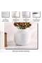 Sandrine Ceramic Vase 22x22x20cm- White - 5