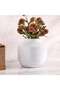 Sandrine Ceramic Vase 22x22x20cm- White