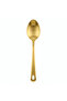 Stainless Steel Serving Spoon 25 cm – Gold