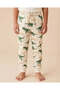 Boys Beige Roar Print T-Shirt And Long Pants PJ Set - 3