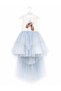 Girl's Layered Tulle Dress with Detachable Tail, Dog Print, Short in Front and Long in Back, Birthday and Special Occasion - 6