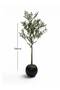Artificial Olive Tree with Premium Base - 3