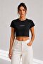 Basic Crop T-Shirt