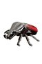 Puzzle 3D Goliath Beetle