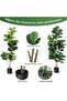 1pcs Silk Cloth PE Multi-stem Artificial Fiddle Leaf Fig - Fashionable, Durable, Green, and Decorative - 6
