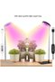 Plant grow light (black, 19x14x2 cm), LED liftable angel ring full spectrum red/blue warm light for succulents and flowers. - 4