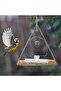 Acrylic Bird Feeder - Wall-mounted Feeder - 2